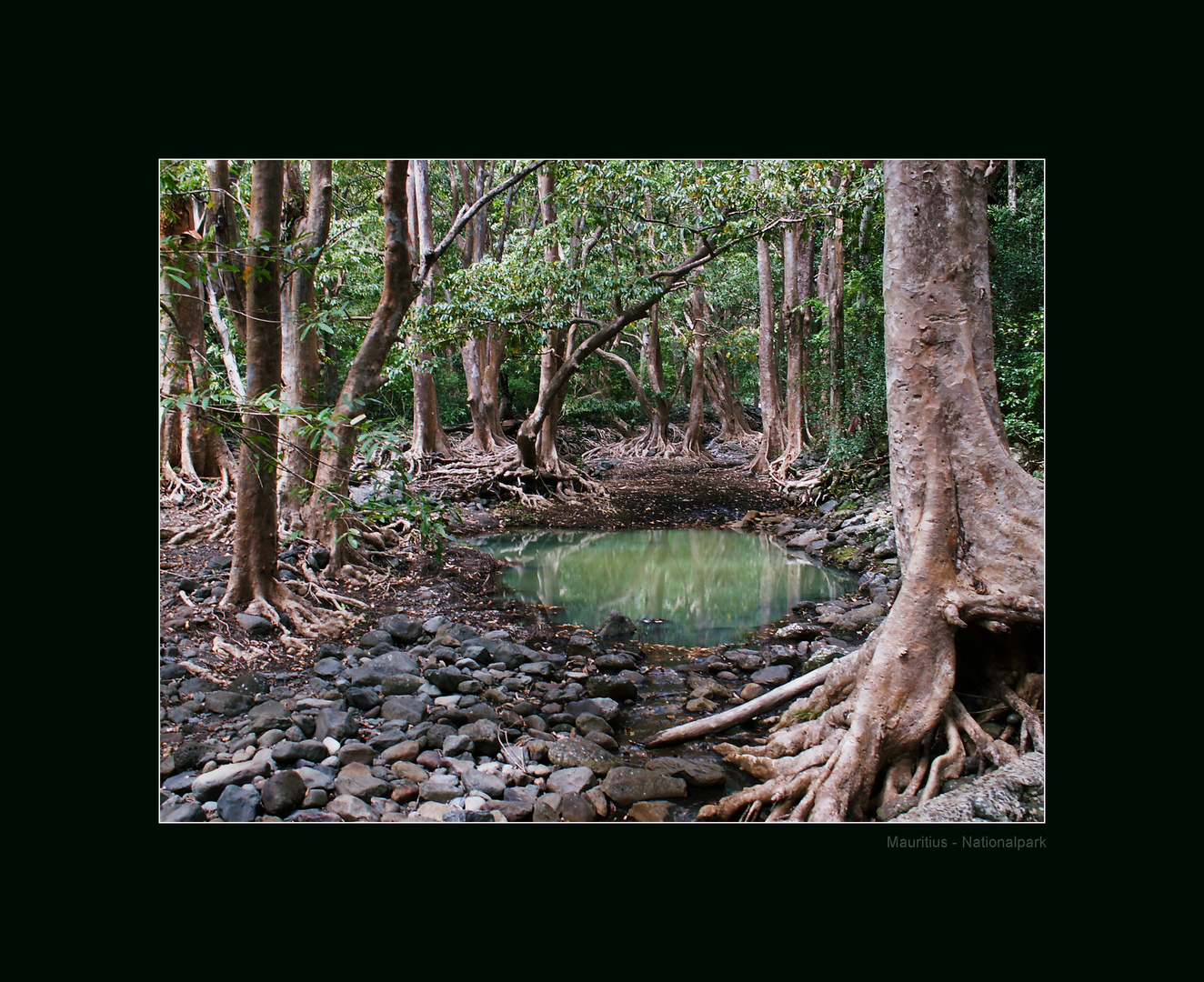 Mauritius-Nationalpark