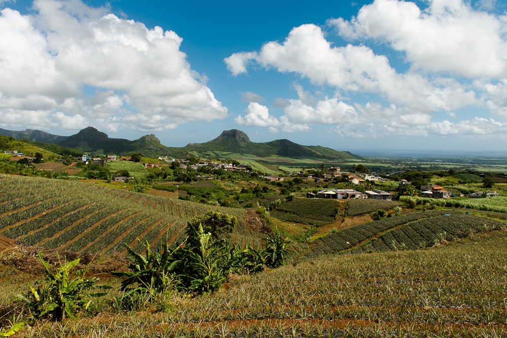 Mauritius - Nördliche Bergkette