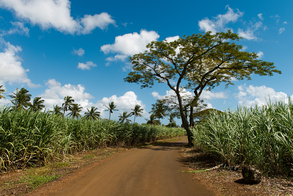 Mauritius (Norden)