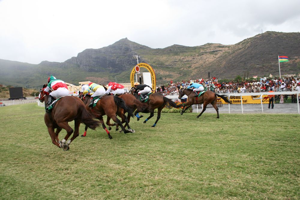 Mauritius - Pferderennen