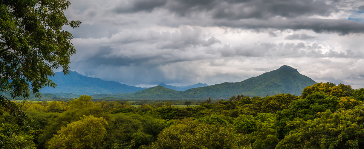 Mauritius-Region Casela Park