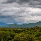 Mauritius-Region Casela Park