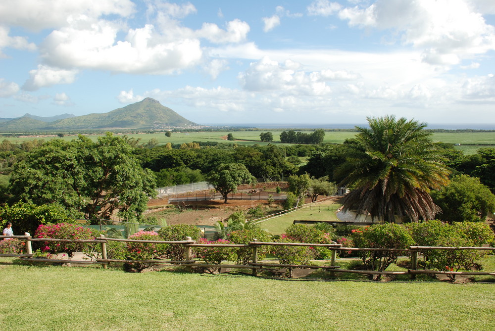 Mauritius1 von Sven Schönig 