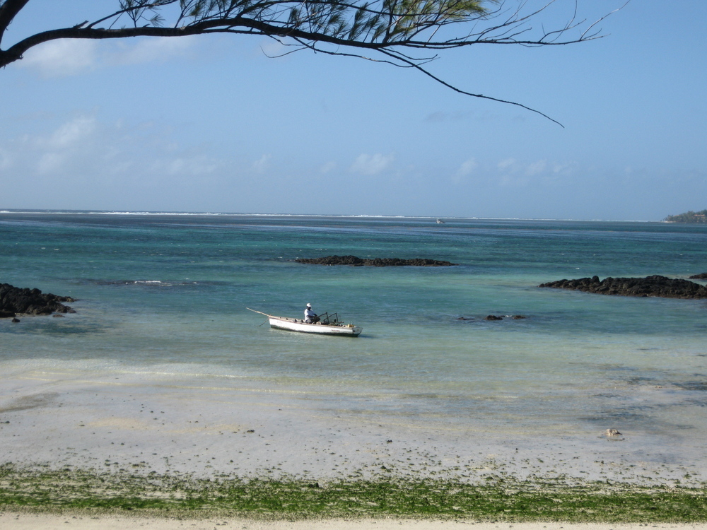 Mauritus3