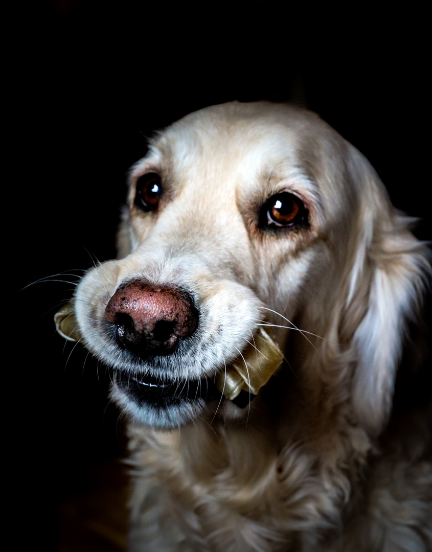 maus and her bone