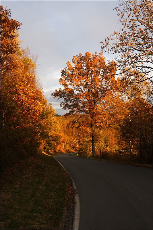 Mausbachtal