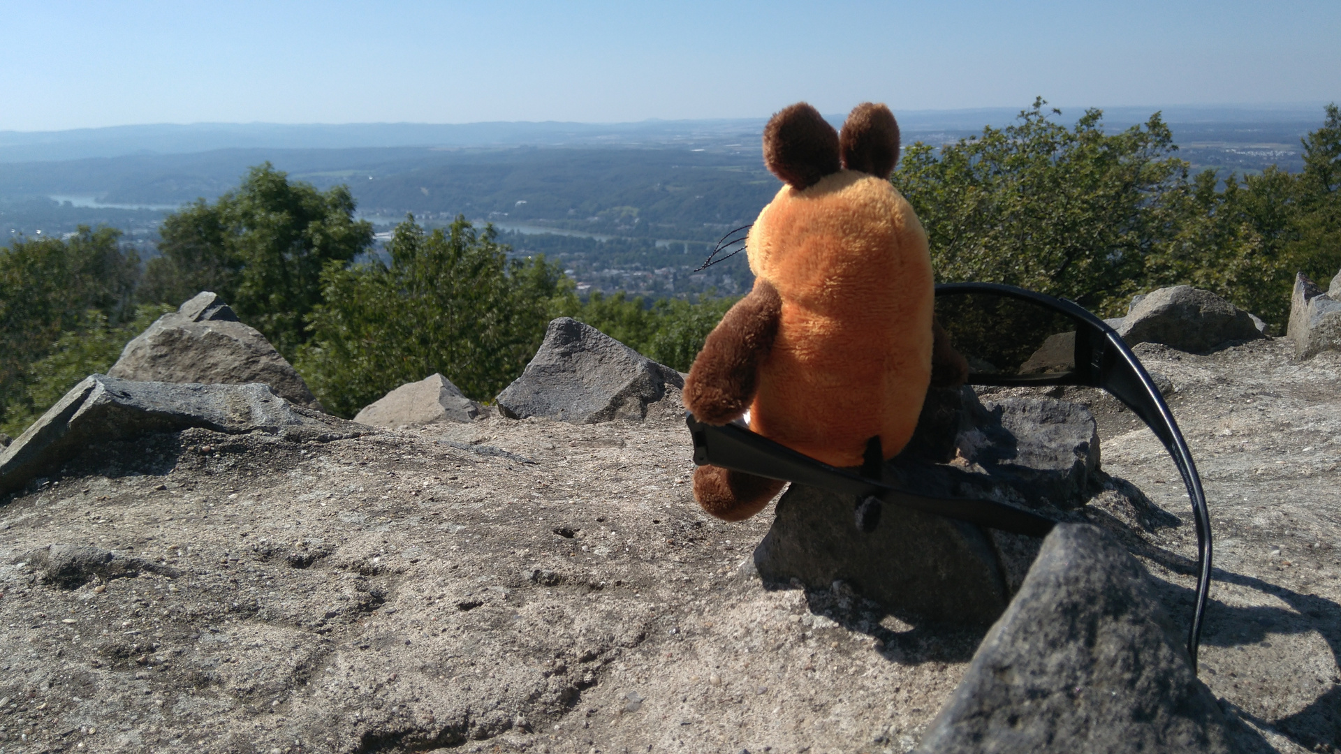 #mauszeit 2019 - Die Maus auf der Burgruine Löwenburg blickt auf das Rheintal