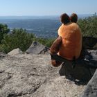 #mauszeit 2019 - Die Maus auf der Burgruine Löwenburg blickt auf das Rheintal