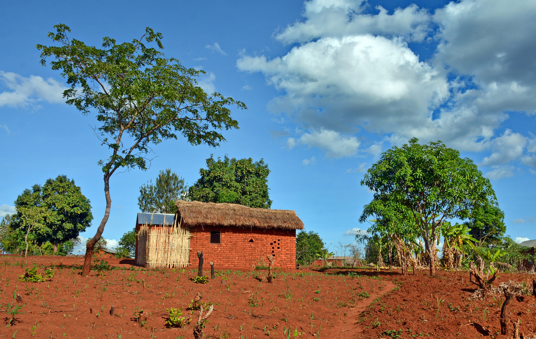 Mavanga Rot-Grün-Blau  und Weiß