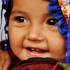 Mavi Baslikli Afgan Bebek