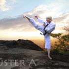 Mawashi Geri