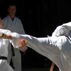 Mawashi-Geri