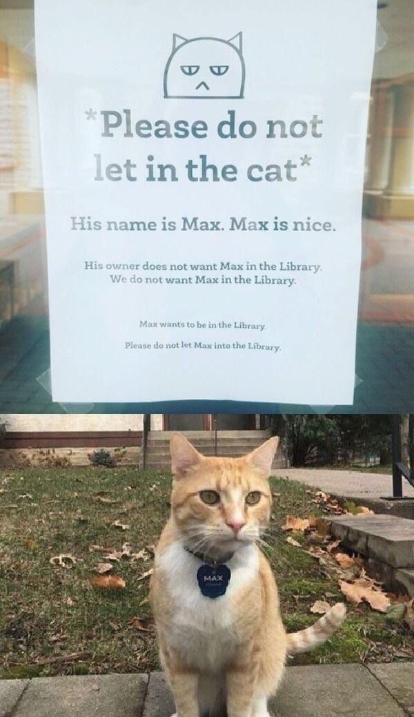 Max