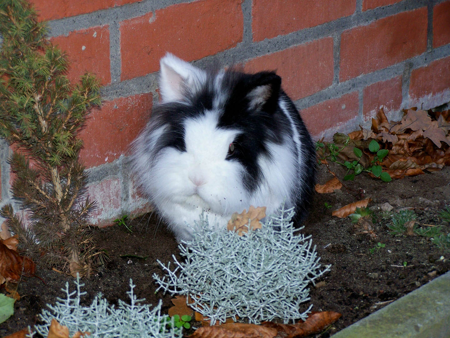 Max beim meditieren ;-)