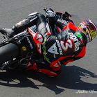 max biaggi