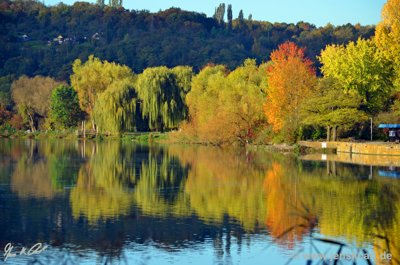 Max-Eyth-See Ufer im Herbst