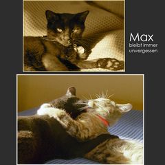 Max