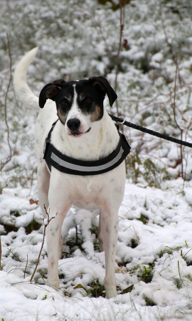 Max im Schnee