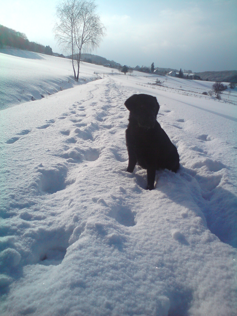 Max im Schnee 2010