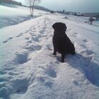 Max im Schnee 2010