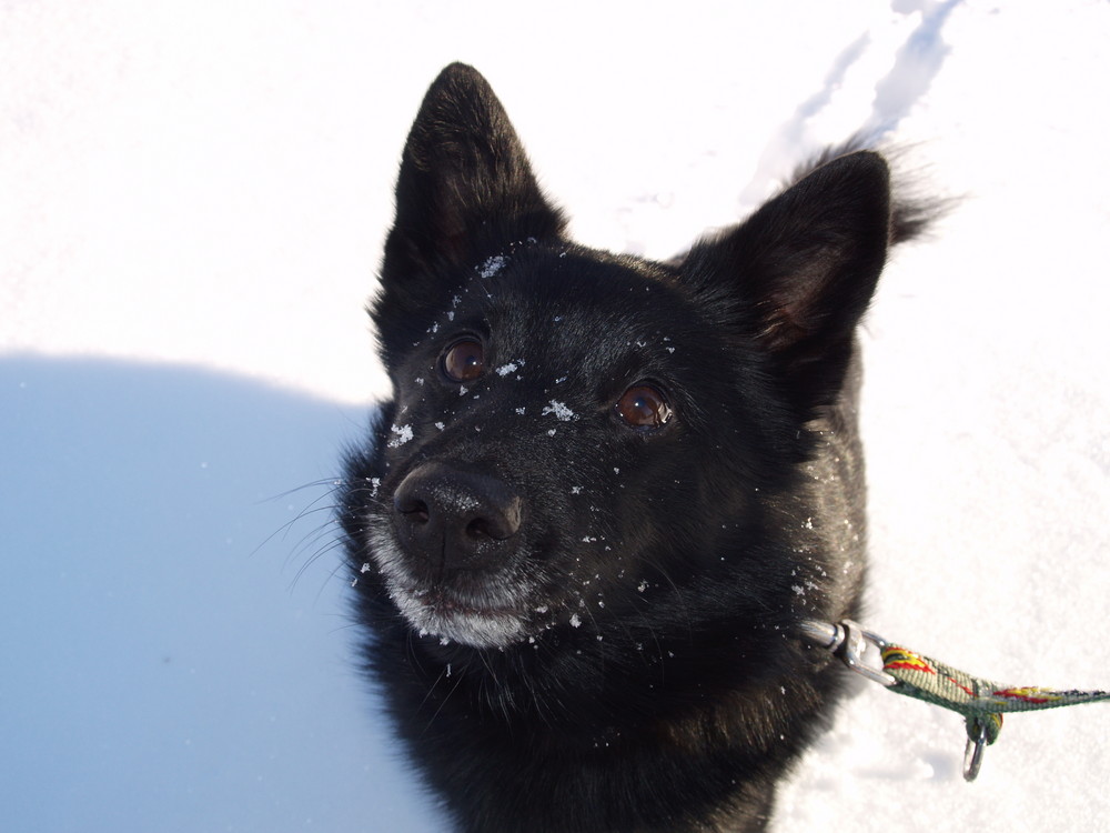 Max im Schnee