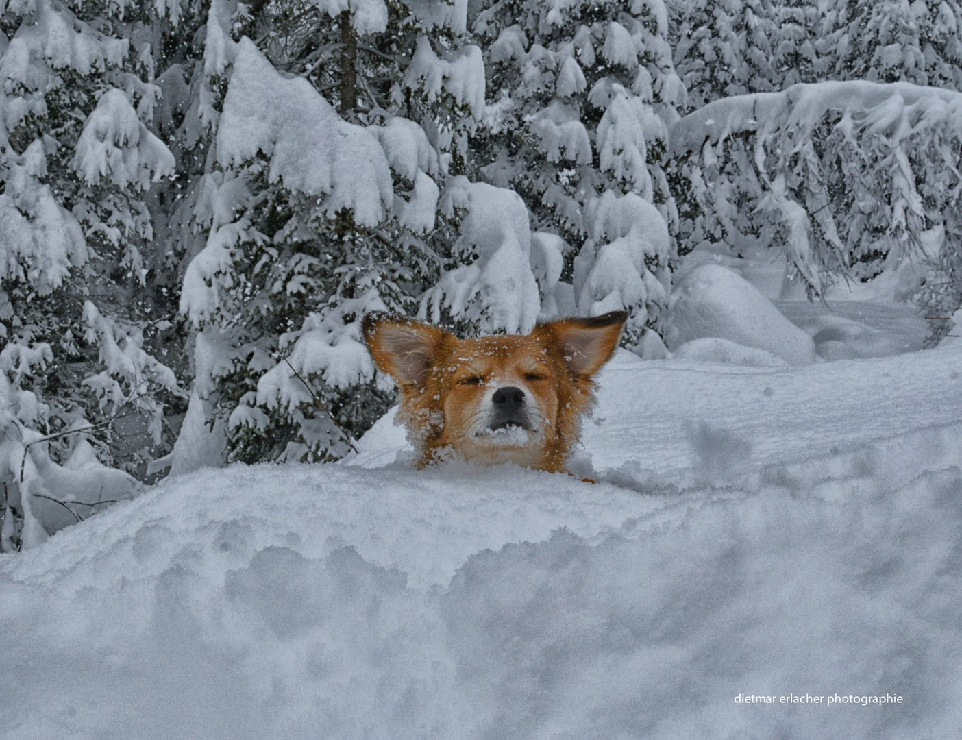 Max im Schnee