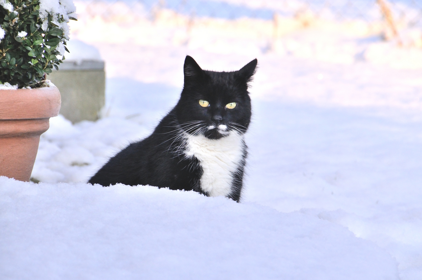 Max im Schnee