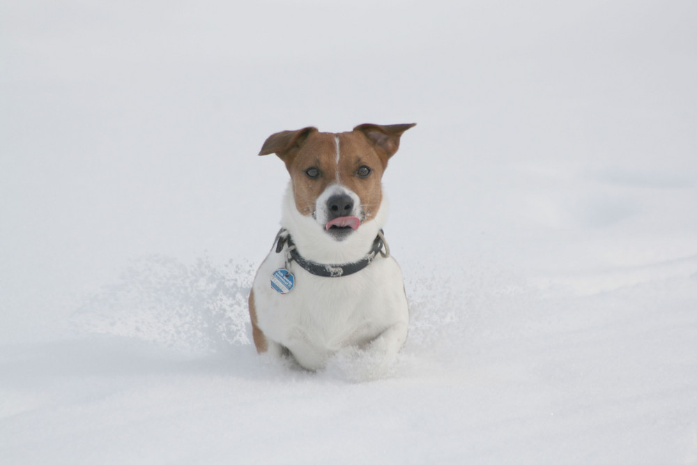 Max im Schnee