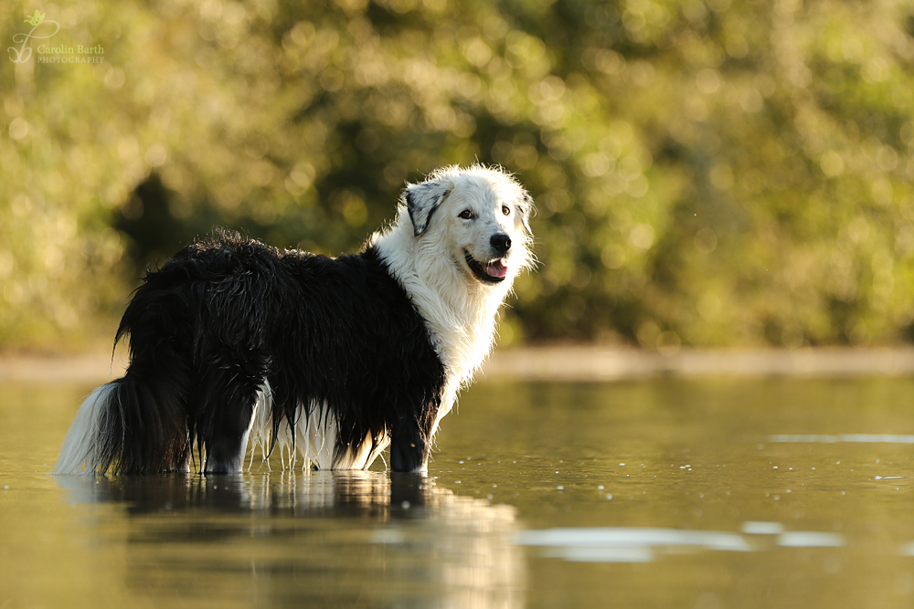 Max im See