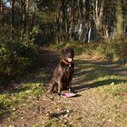 Max im Wald