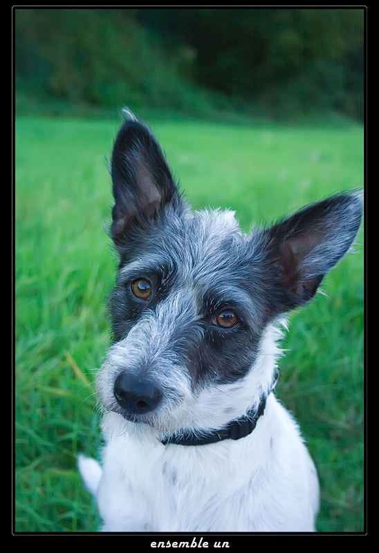 Max in Natura am See ...