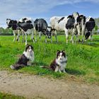 Max& Lara beim Besuch von Jungbullen