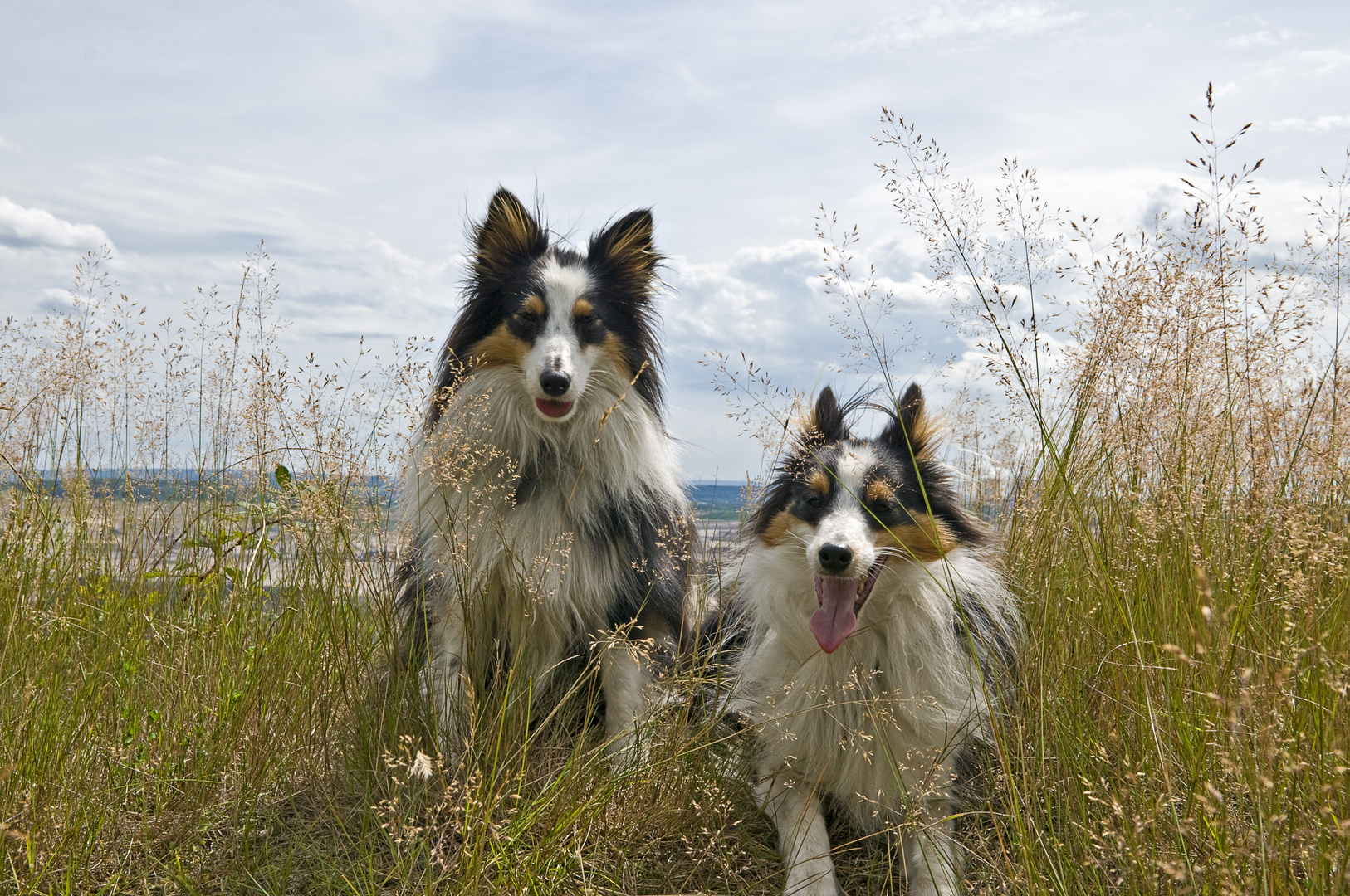 Max & Lara