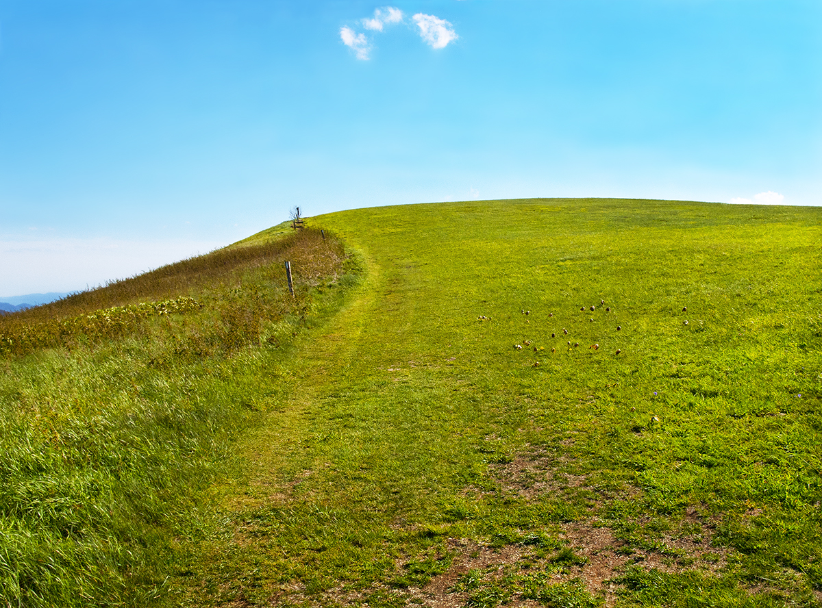 Max Patch At the Top 1