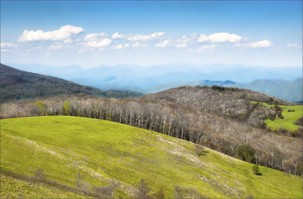 Max Patch - High Landscape