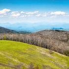 Max Patch - High Landscape