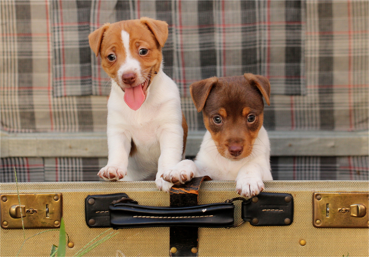 Max und Curly