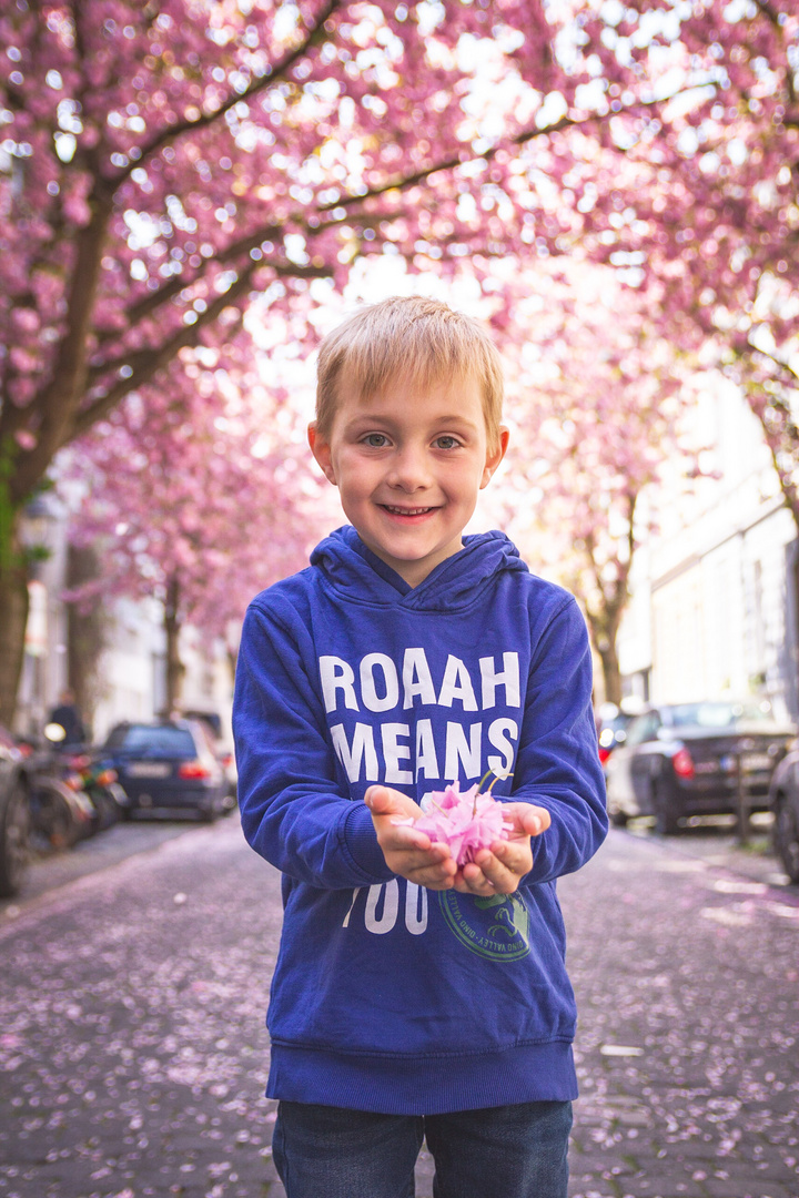 Max und die Kirschblüten