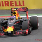 Max Verstappen im Red Bull