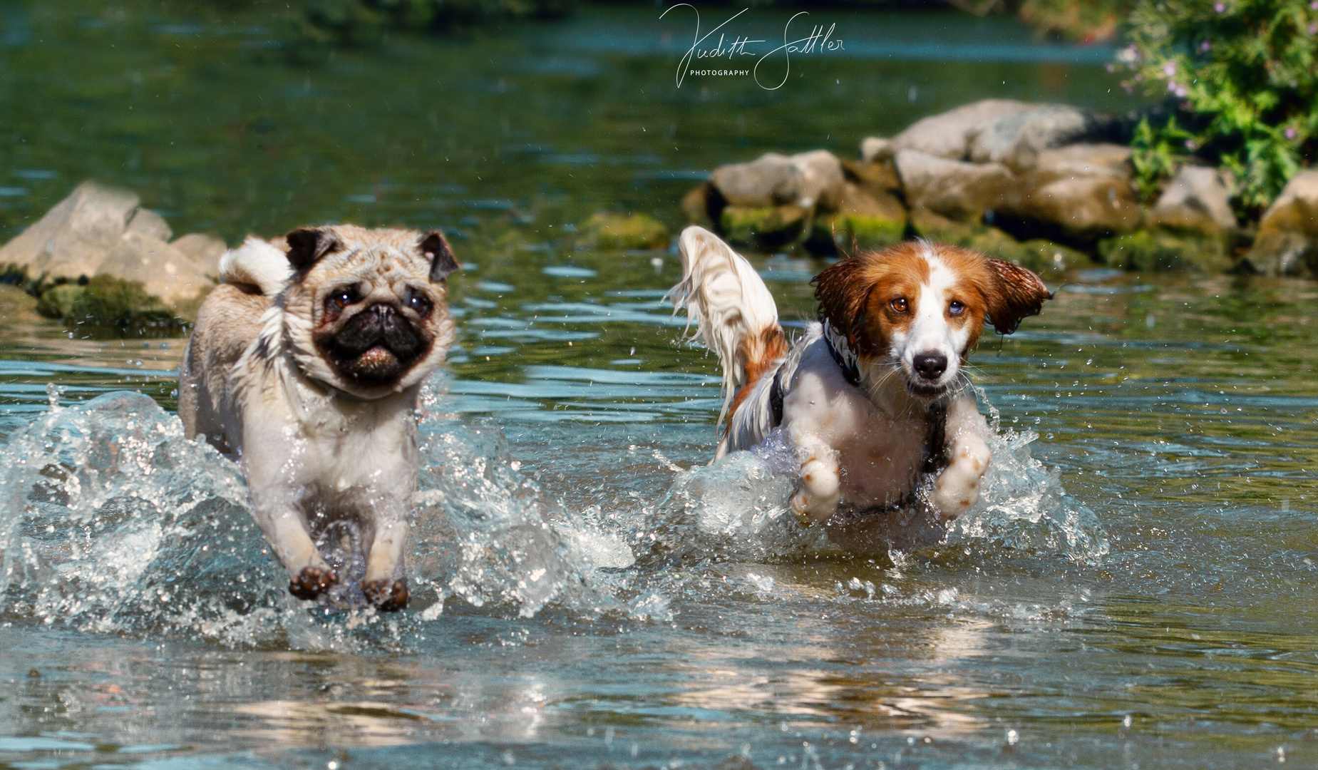 Maxi und Mogli 