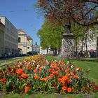 Maximilliansplatz in München