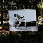 Maxipark Hamm - Fotoausstellung QUEEN - Tribute to Neal Preston