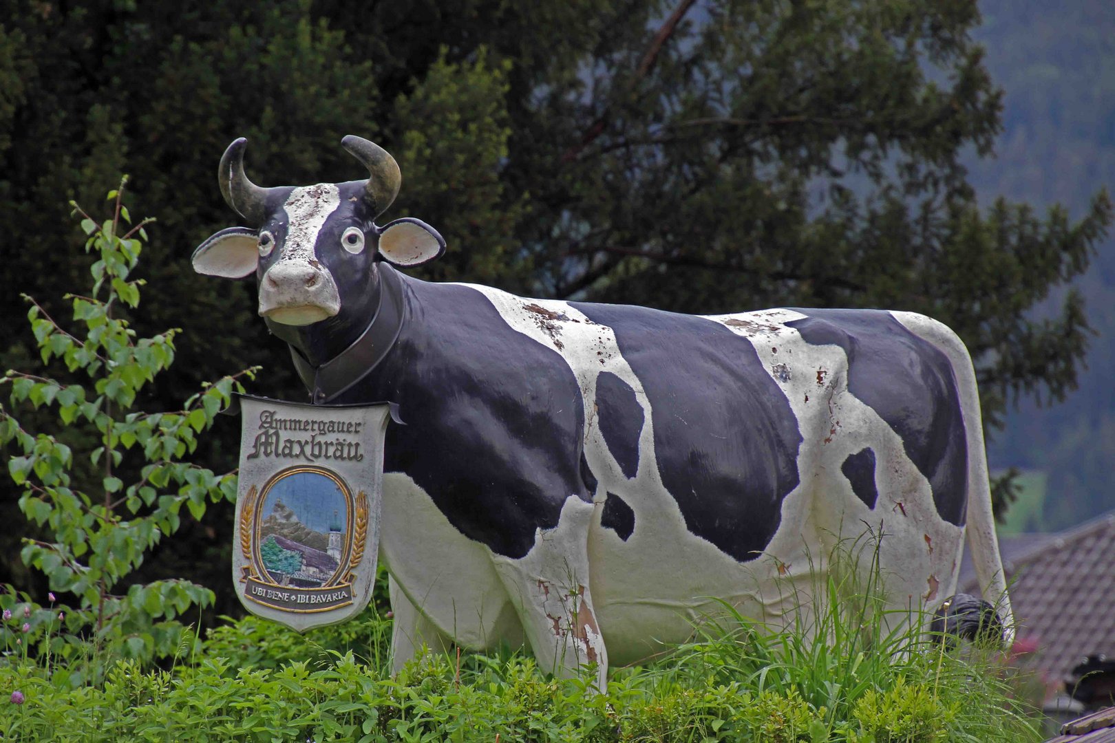 Maxlbräu Kuh Statue in Oberammergau