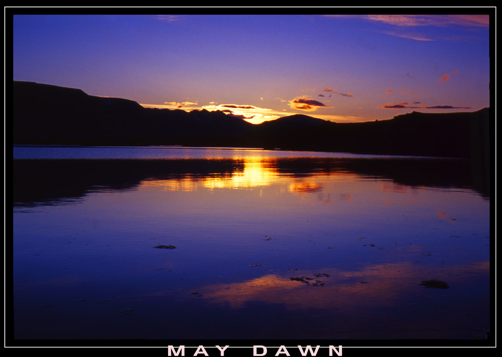 May Dawn