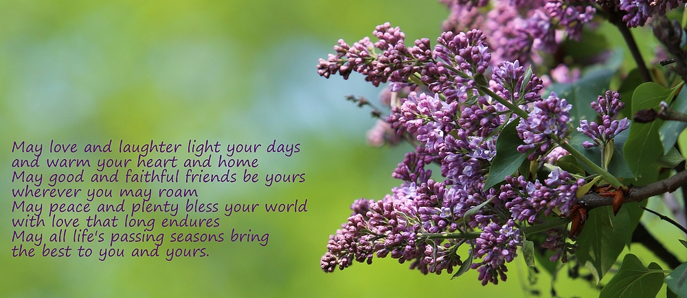 May love and laughter light your days ...