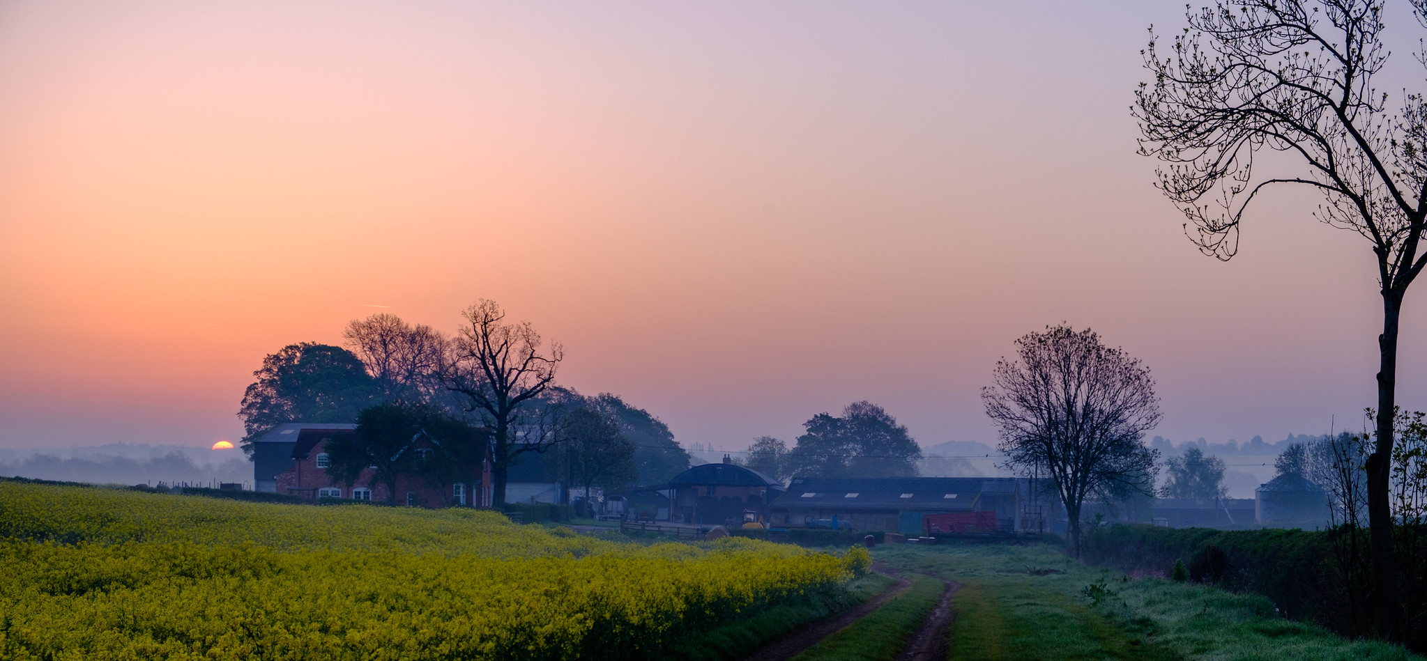 May morning walk