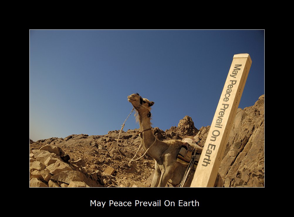 May Peace Prevail On Earth