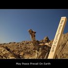 May Peace Prevail On Earth