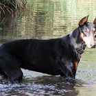 Maya, 13 ans, se baigne