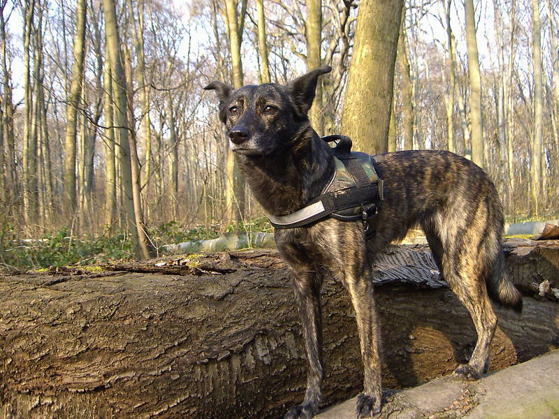 Maya als eitles Model ;)